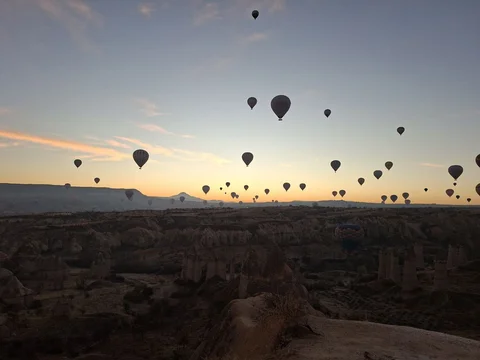 5273736196565699790.jpg