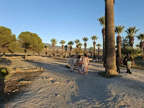 5278369237917437730.jpg