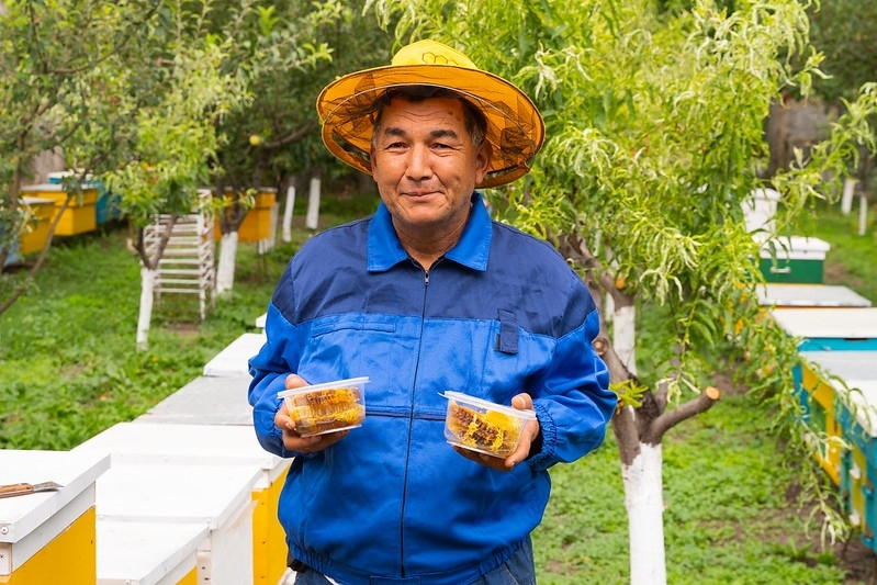 53183133720_d7278449b1_c.width-800