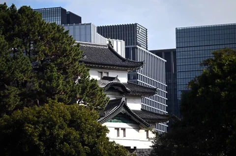 5343611019504324133.jpg
