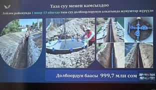 5357587315531914108.jpg