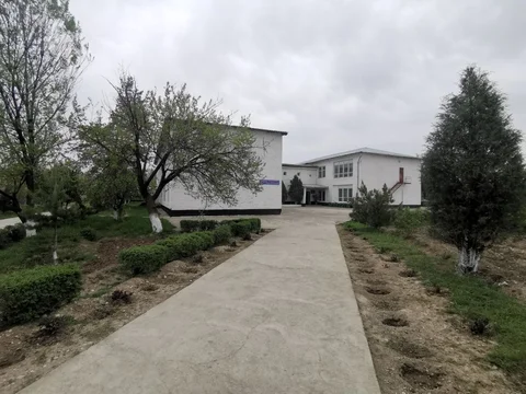 5417857526444791216.jpg