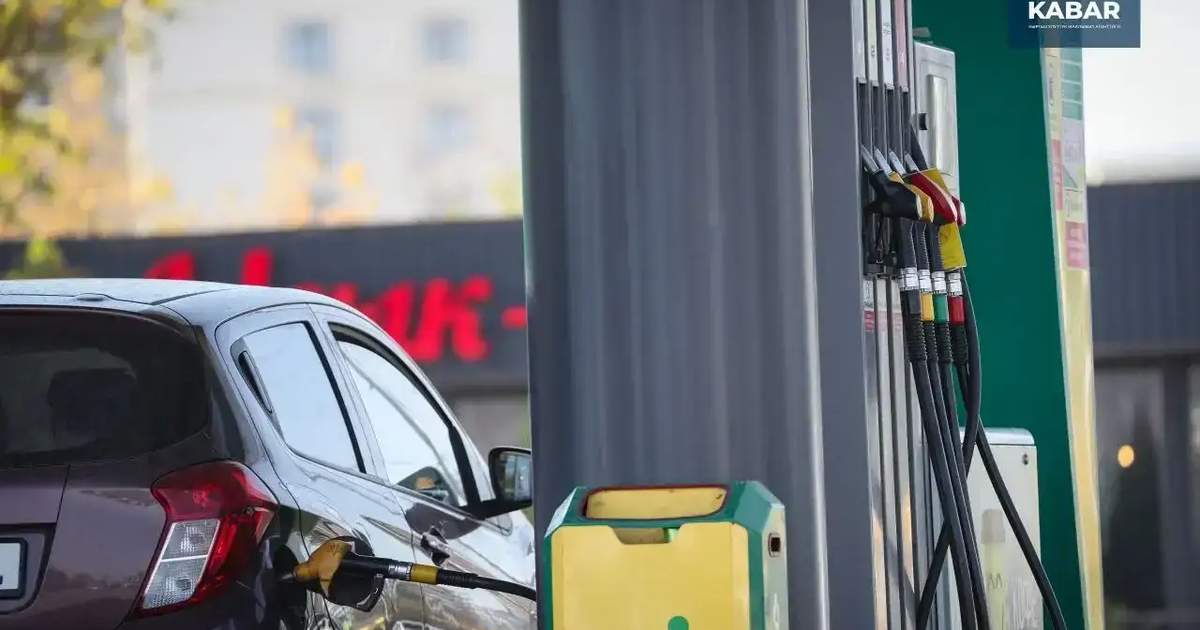 Субсидирование ГСМ. Как государство сдерживает рост цен на топливо