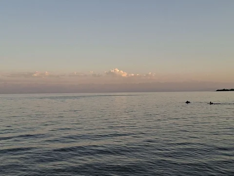5440534915112966856.jpg