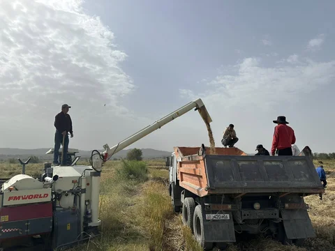 552570172_1333515801475205_6871131254629023803_n.jpg
