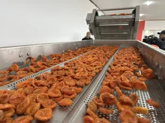 596564193_1395266945300090_575758378632909650_n (1).jpg