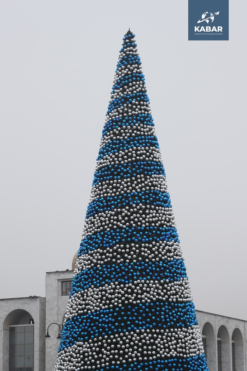 597389708_3652913531518486_5667253684455931026_n