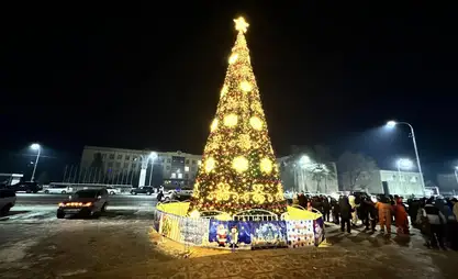 В Нарыне торжественно зажгли главную новогоднюю елку
