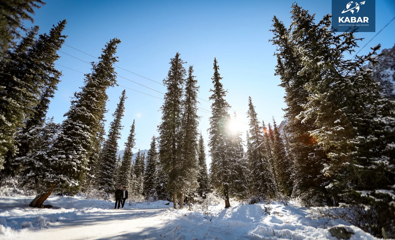 598560794_366123679.2e16d0ba.format-webp.fill-.width-800