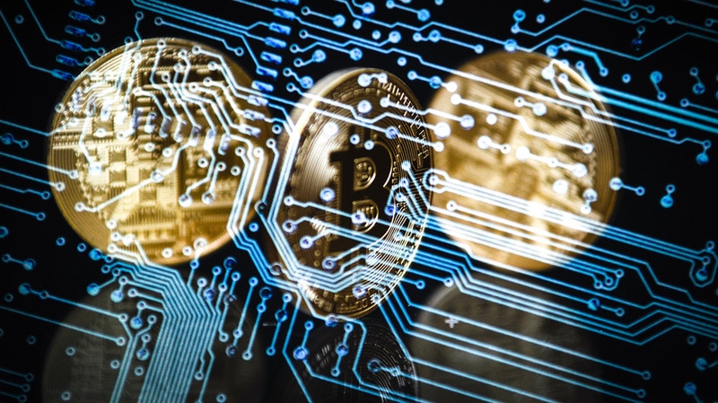 5a3b53e8183561f35c8b4567