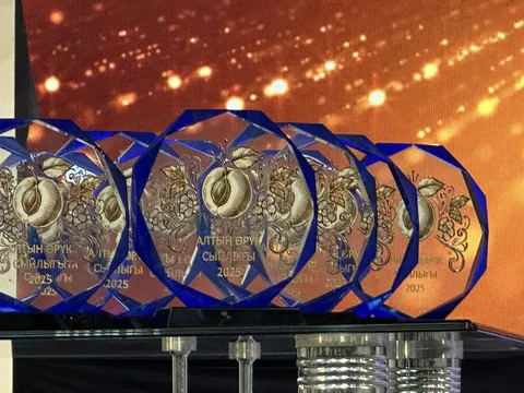 605499222_1410373993789385_5513156184132819206_n (1).jpg