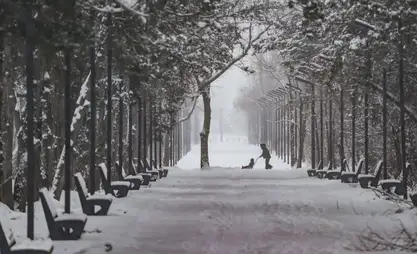 Зимой ограничивать подачу электроэнергии не планируем - министр