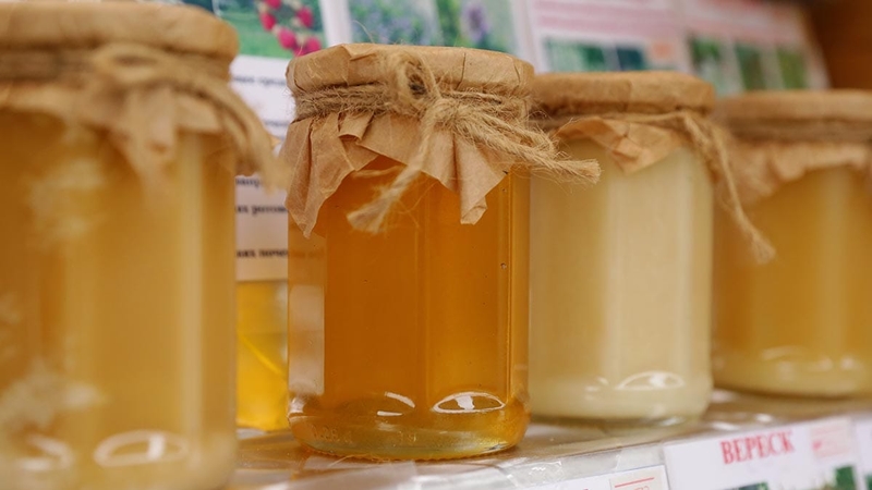 6241b92a82682c7f57e8c36d