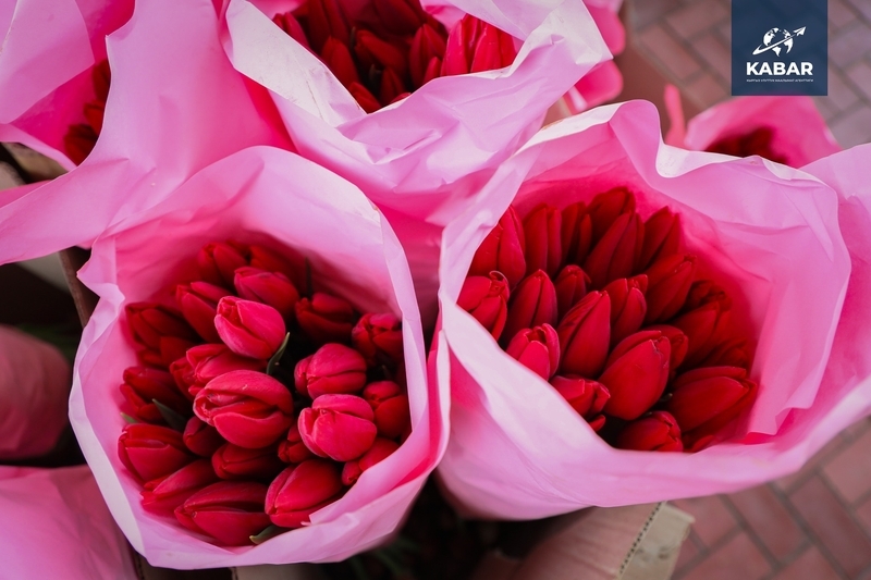 646371091_3750095535133618_803578027226567851_.width-800