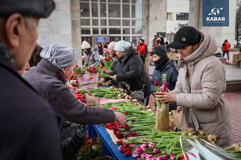 646375933_3750095558466949_4541143561796045039.width-800