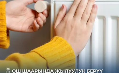 651842812_1275183551467206_1983068029393501663_n.jpg