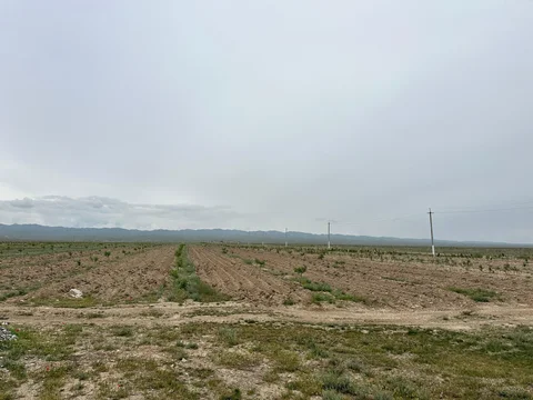 666856639_1489606715866112_847522790819222140_n.jpg