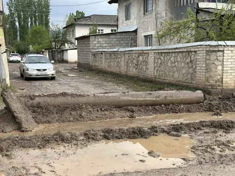 685309339_122209283156368081_3653156663572786633_n.jpg