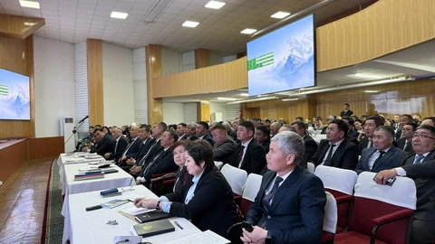 698eef5ff07cd.jpg
