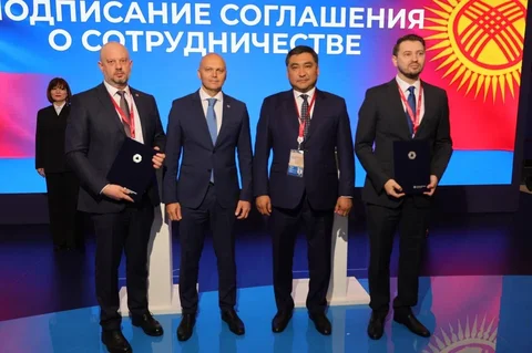 6a224a7f5e699.jpeg