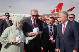 6a95621bbb706.jpeg