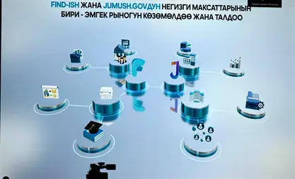 В Кыргызстане созданы две цифровые платформы для поиска работы