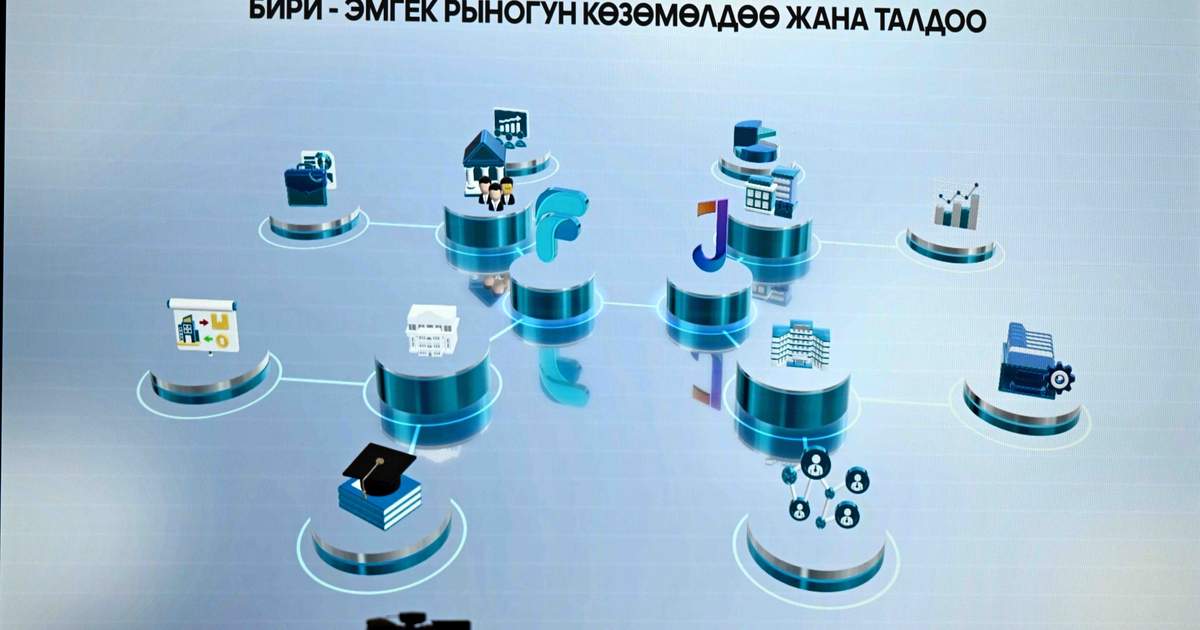 В Кыргызстане созданы две цифровые платформы для поиска работы