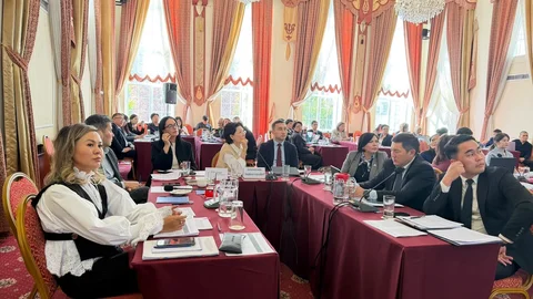 6ad207e3a53fc.jpeg