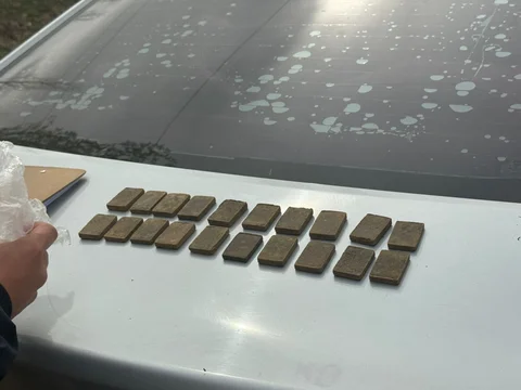 703896726_1379604057521925_5339445820739944536_n.jpg