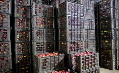 В Ала-Буке строят новый склад на 500 тонн для хранения сельхозпродукции