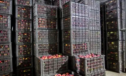В Ала-Буке строят новый склад на 500 тонн для хранения сельхозпродукции