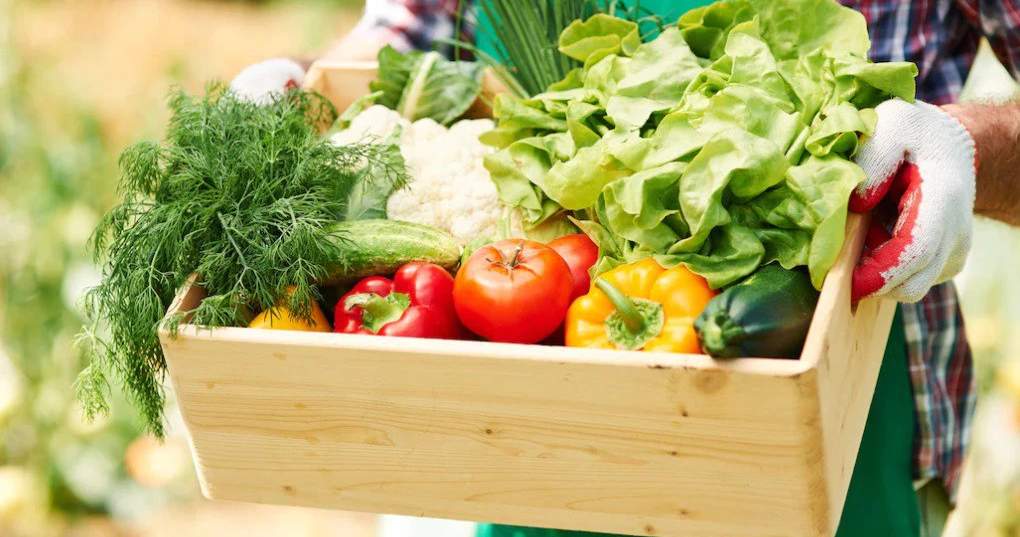 Техника, продукты и конкурсы. Чем удивят выставка «АгроТехЭкспо-2026» и ярмарка «Алтын күз»?