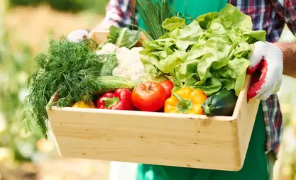 Техника, продукты и конкурсы. Чем удивят выставка «АгроТехЭкспо-2026» и ярмарка «Алтын күз»?