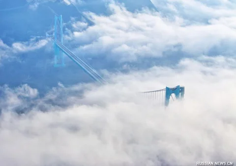 7675665.JPG