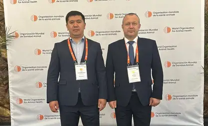 Кыргызстан сделает ветеринарное законодательство ближе к европейским стандартам