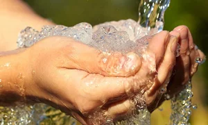 810021694061298_big.max-1920x1080.format-webp.webp