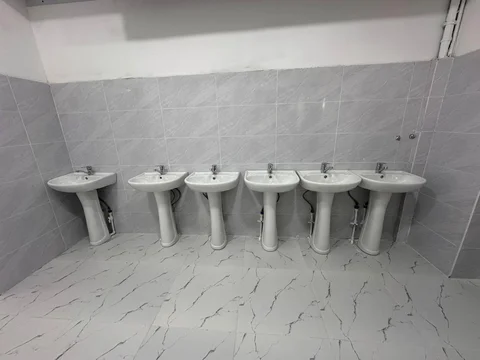 810485536_1621958469297602_4656804511112059329_n.jpg