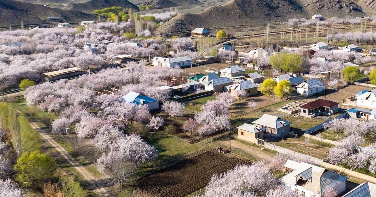 Баткен хотят превратить в узнаваемый туристический бренд