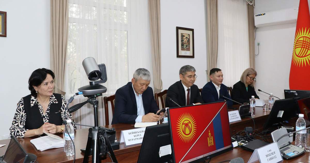 Кыргызстан и Монголия будут развивать сотрудничество в детской кардиохирургии