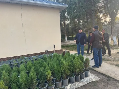 8e19f0e4-2784-4507-bef4-809b85d391c5.jpg