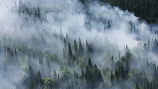 908929597_0_53_1001_616_1920x0_80_0_0_7d68ad1cd79374520b7915ca65ee385e.jpg.webp