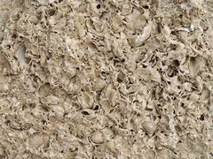 927-e359e221aeb280799dd2d0005b9b7233.jpg
