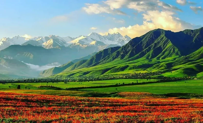 97696650_37722.max-2560x1440.format-webp.jpegquality-90.webp