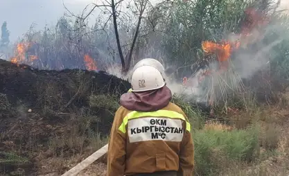 За прошедшие сутки на территории Кыргызстана произошло 30 пожаров
