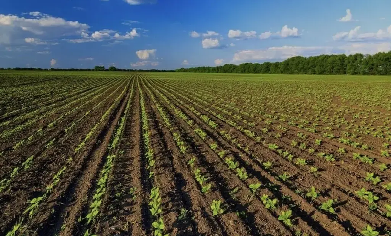 9a5d9381-4c4d-4868-94f7-ccf00e558782