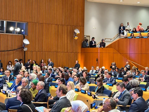 9fd623de-16e2-4328-8985-2ad06431e0af.jpg
