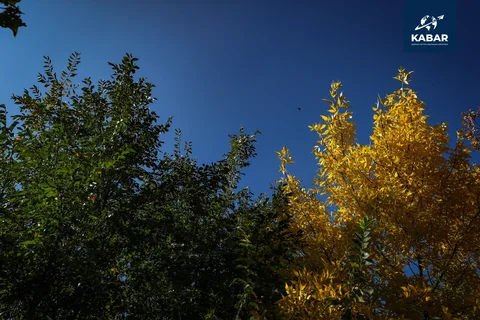 AB5I4527.jpg.max-2560x1440.format-webp.jpegquality-90.webp