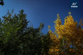 AB5I4527.jpg.max-2560x1440.format-webp.jpegquality-90.webp