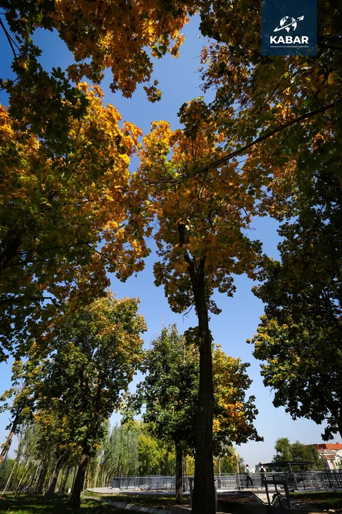 AB5I4532.jpg.max-2560x1440.format-webp.jpegquality-90.webp