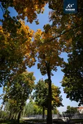 AB5I4532.jpg.max-2560x1440.format-webp.jpegquality-90.webp